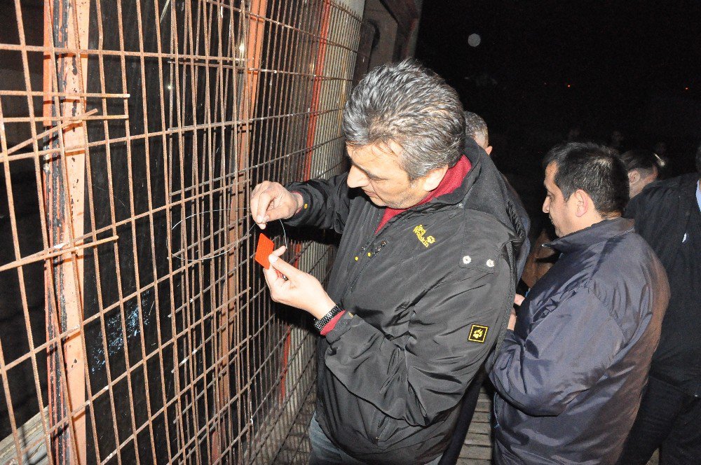 Özel Arazide Kesilmiş At Ve Eşek Kafaları Bulundu