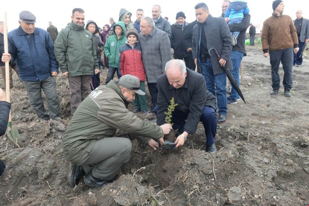 Kütahya’da 3 Bin Fidan Toprala Buluştu