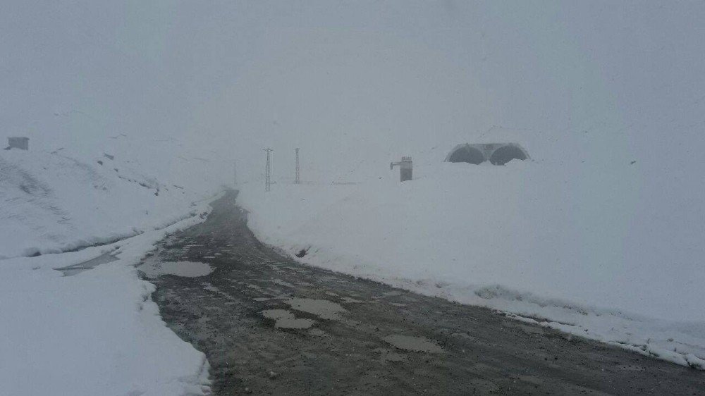 Rize-erzurum Karayolu Ovit Geçidi Kar Nedeniyle Yeniden Ulaşıma Kapandı