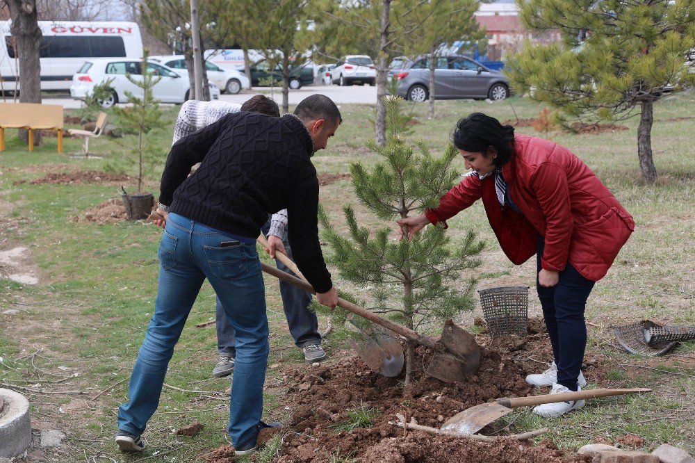 Sivas’ta ’Epilepsi Farkındalığı Hatıra Ormanı’ Oluşturuldu