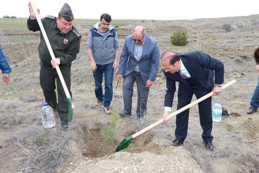 Yozgat’ta Jandarma Ekipleri Hatıra Ormanı Oluşturdu