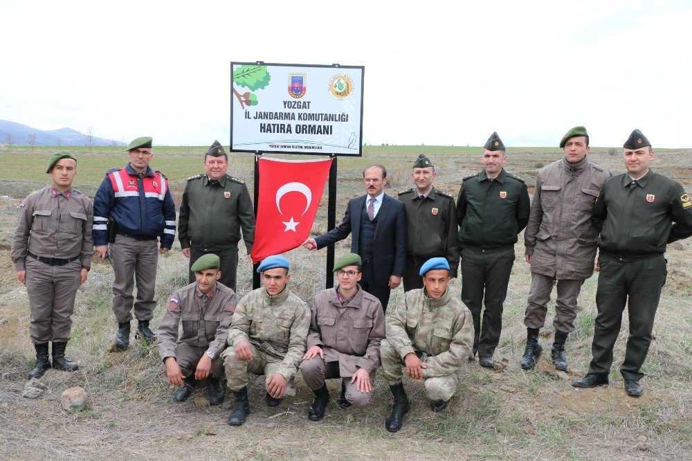 Yozgat’ta Jandarma Ekipleri Hatıra Ormanı Oluşturdu