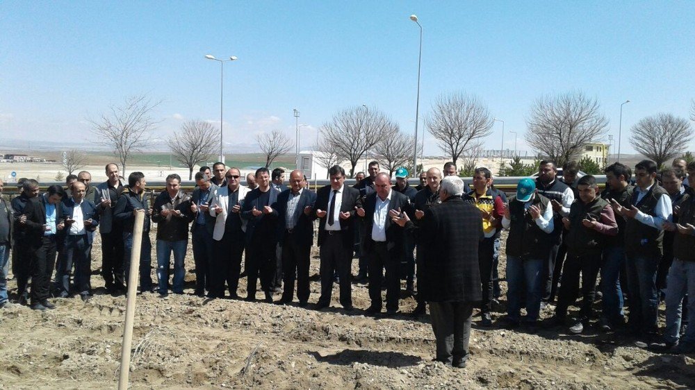 Kayseri Ve Boğazlıyan Şeker Çalışanları Ağaçlandırma Yaptı