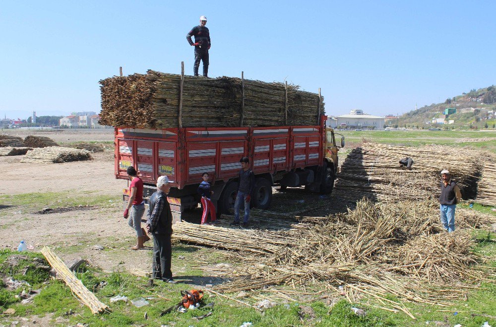 Aydın’ın Yüzde 0,75’i Suriyeli