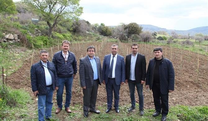 Gökçeada Arısının Islahı Ve Korunması Toplantısı Düzenlendi