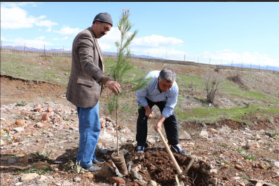 Çam Fidanları Toprakla Buluşturuldu