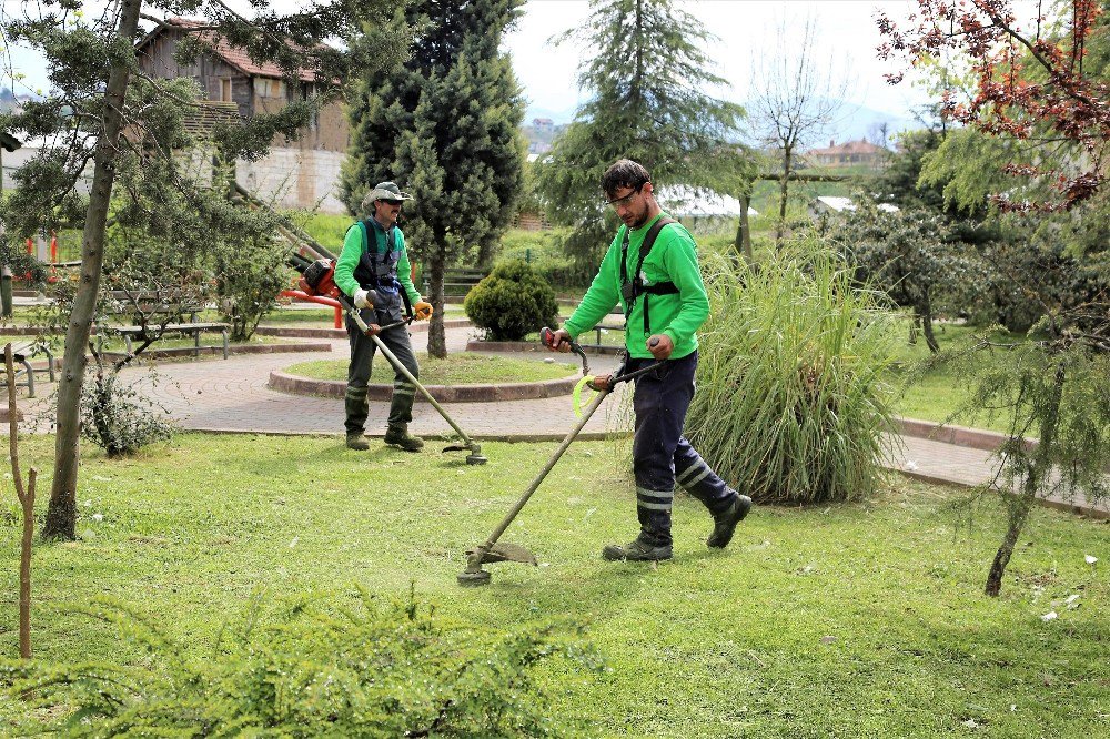 Başiskele’de Çim Biçme Çalışmaları Başladı