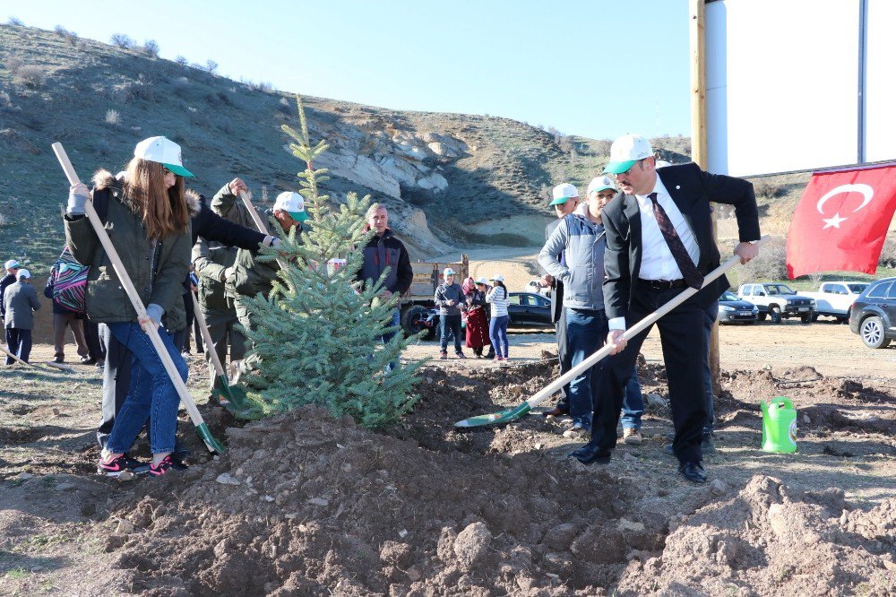 Yozgat’ta 15 Temmuz Şehitleri Hatıra Ormanı’na Fidan Dikildi