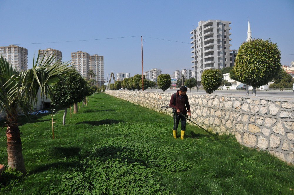 Erdemli Sahil Bandı Parkı Yaza Hazırlanıyor