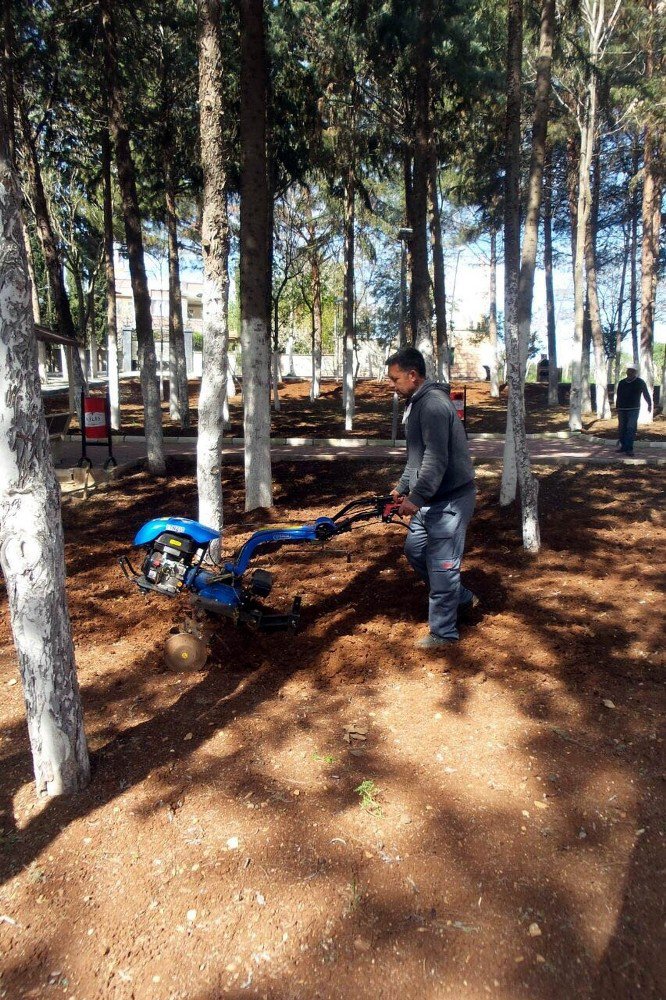 Söğütlüdere Piknik Alanı Yaza Hazır