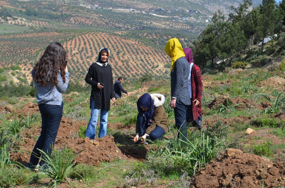 Öğrenciler, 400 Fidanı Toprakla Buluşturdu