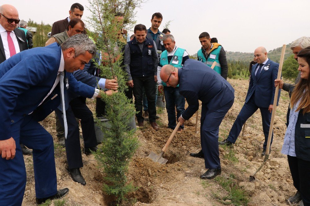 Hükümlüler 15 Temmuz Anısına Fidan Dikti