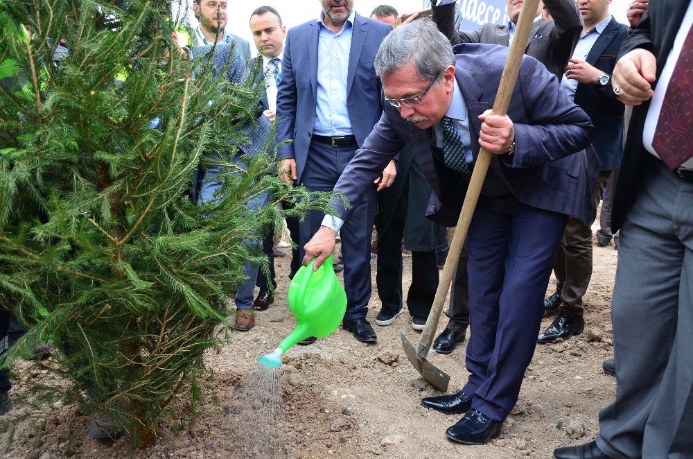 Pursaklar’da Ağaçlandırma Seferberliği Sürüyor