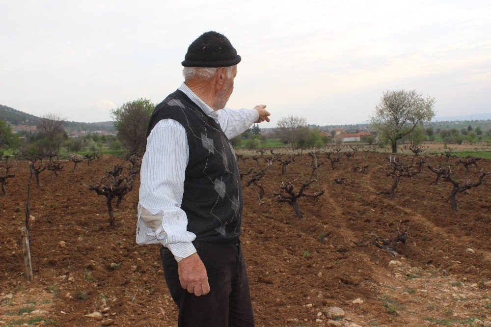 Tarla Tartışması Kanlı Bitti: 1 Ölü