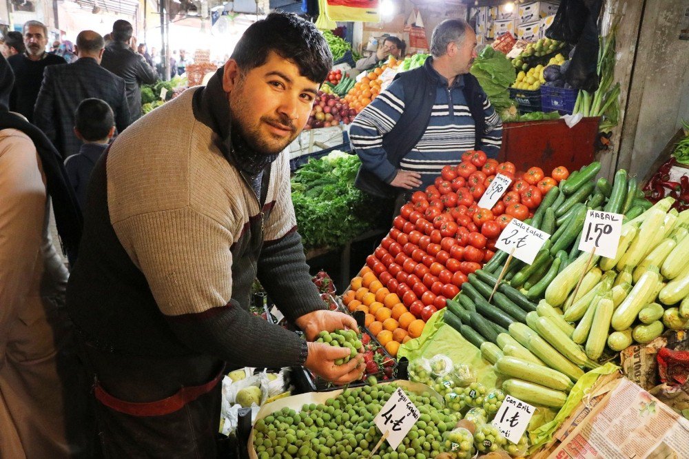 Yerli Kayısı Tezgahlara İnmeye Başladı