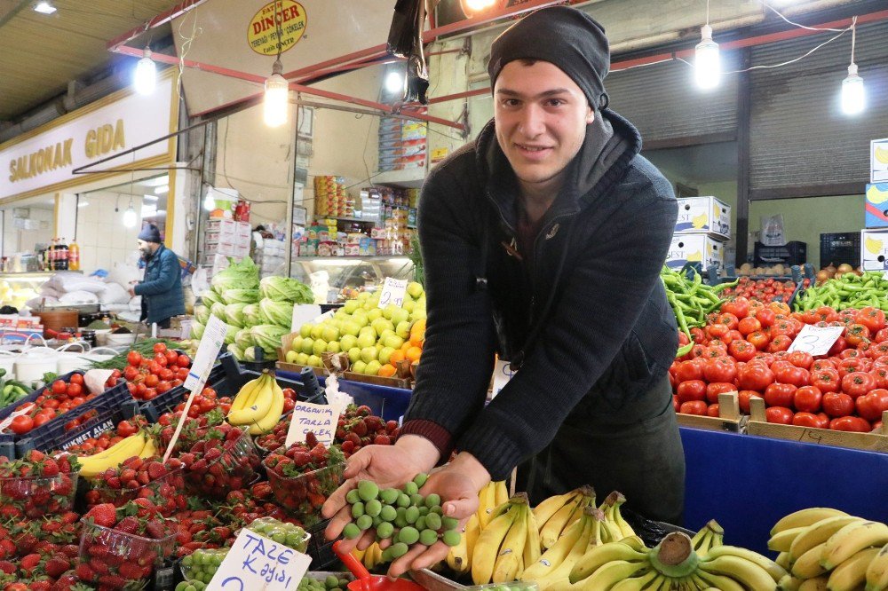 Yerli Kayısı Tezgahlara İnmeye Başladı