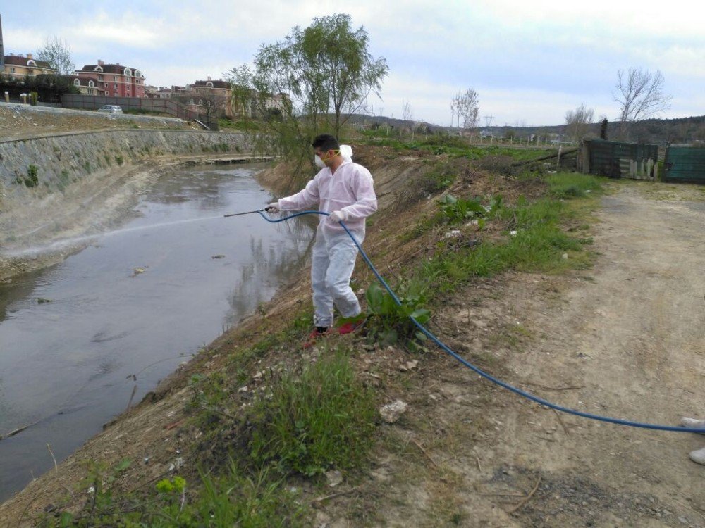 Eyüp’te Larva İlaçlama Çalışmaları Başladı