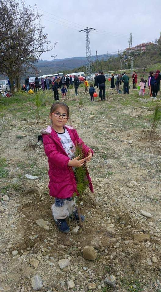 Vezirköprü’de 15 Temmuz Şehitleri Anısına Hatıra Ormanı