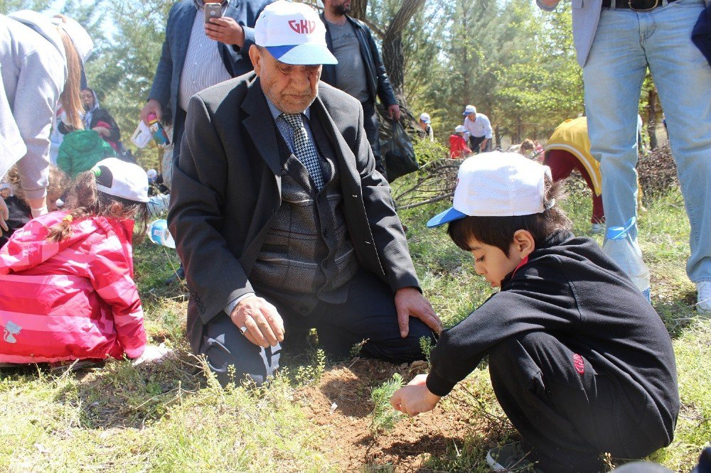 Gkv’de Yüzlerce Fidanı Toprakla Buluştu