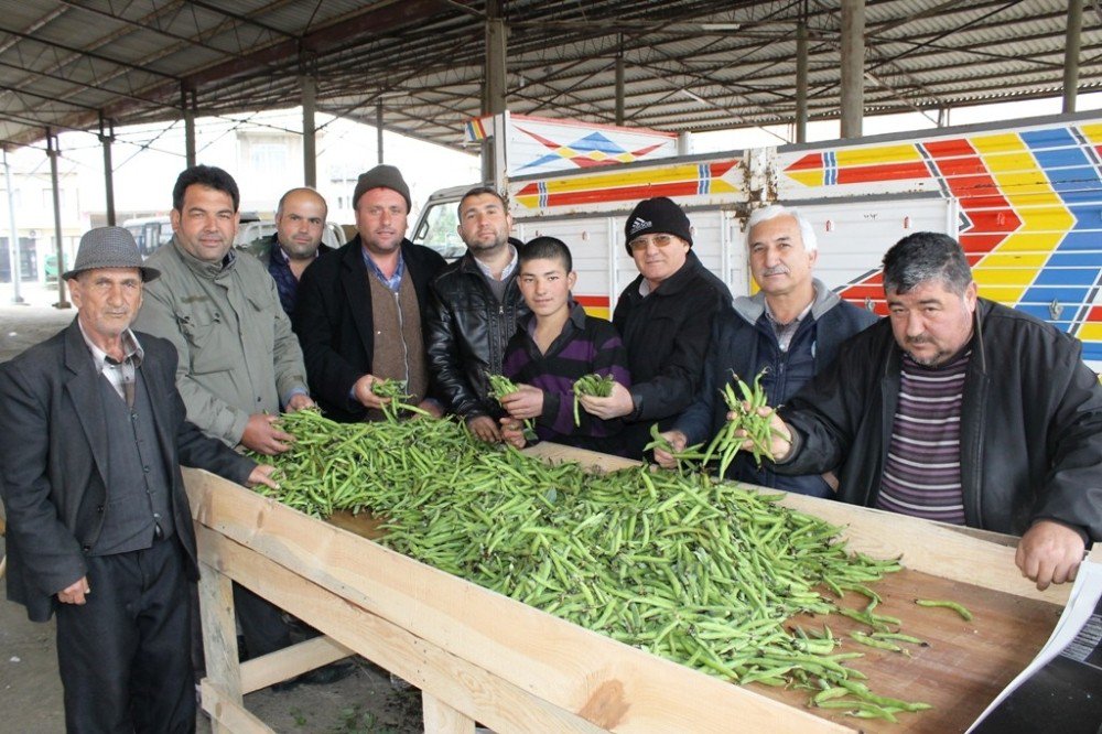 Ödemiş’te Bakla Ve Bezelye Vakti