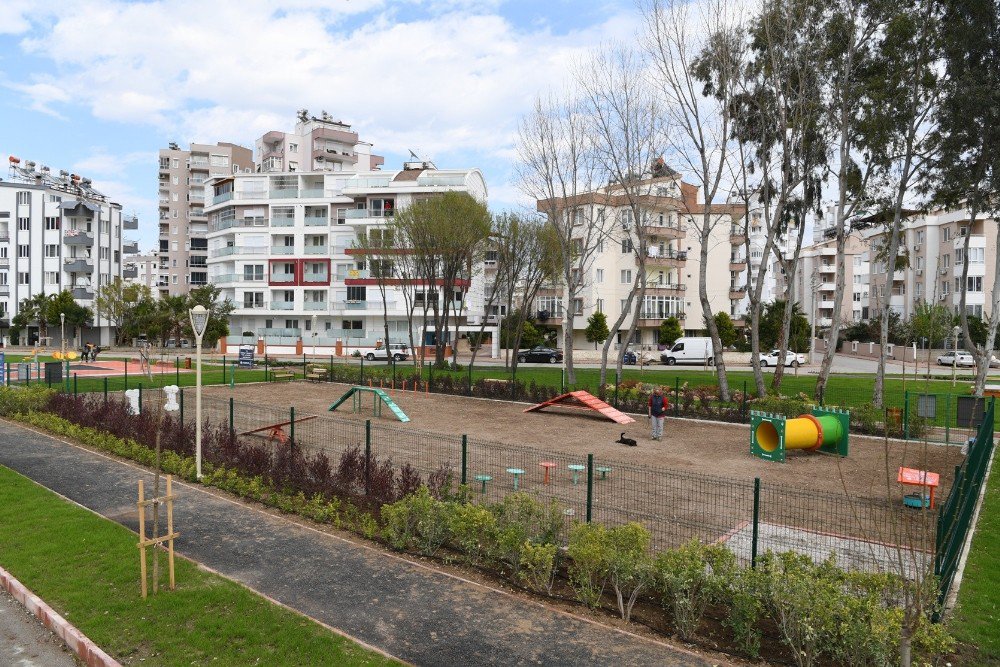 Köpek Oyun Parkının Üçüncüsü Liman’a