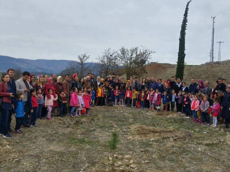 Vezirköprü’de 15 Temmuz Şehitleri Anısına Hatıra Ormanı