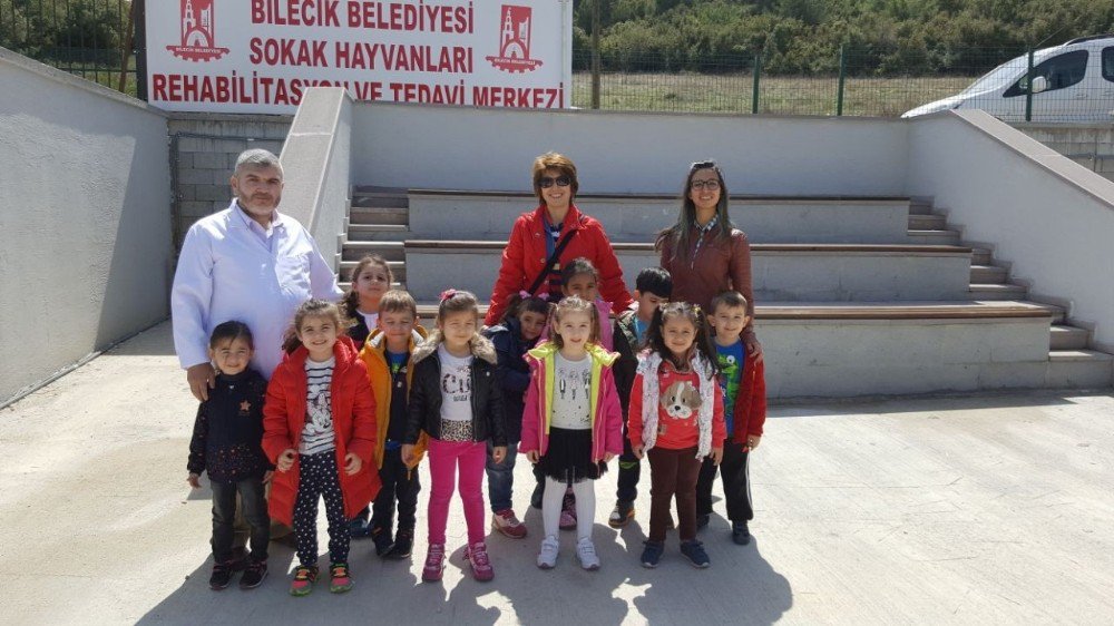 Minik Öğrencilerden Sokak Hayvanları Tedavi Ve Rehabilitasyon Merkezine Ziyaret