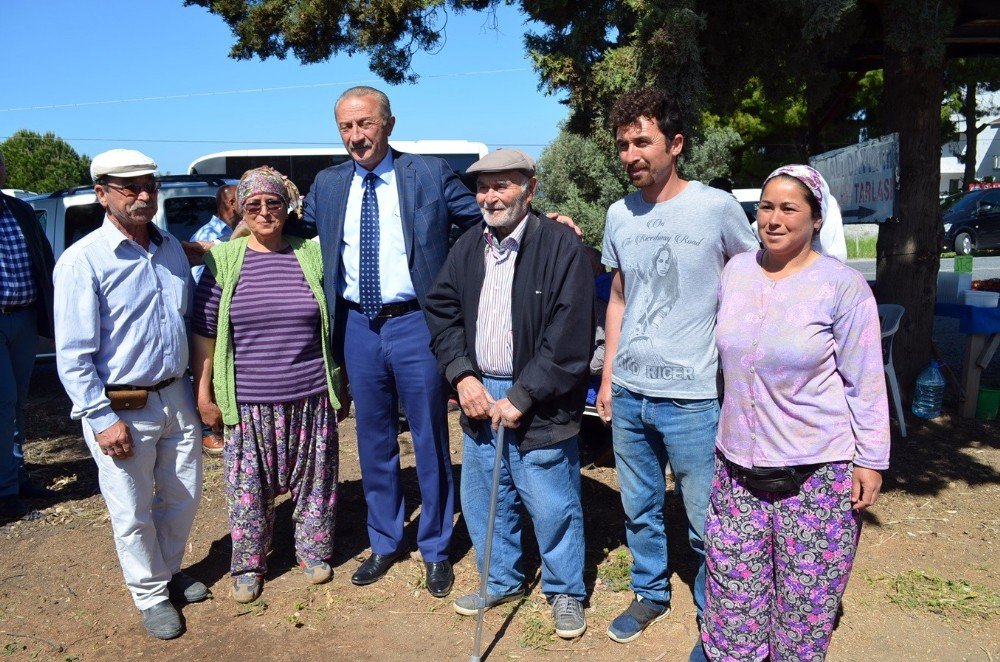 Didim’de ‘Akköy Çileğinin’ Tanıtımı İçin Hasat Şenliği Düzenlendi