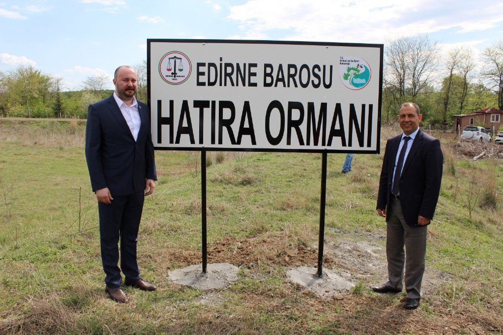 Edirne Barosu Hatıra Ormanına 300 Adet Ihlamur Fidanı Dikildi