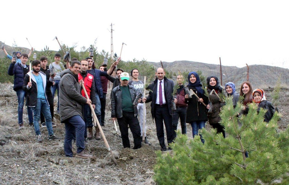 Gençler Fidan Dikti