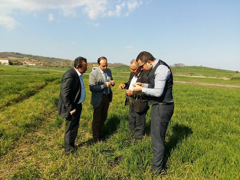 Tarım Müdürlüğü Ekiplerinin Hububat Kontrolleri Başladı