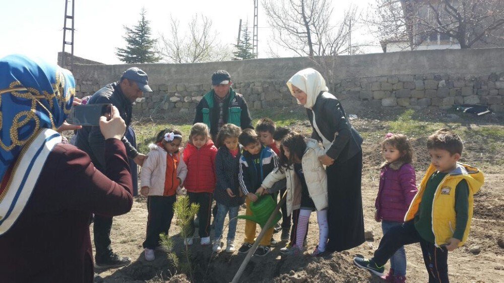 Kocasinan’da Ağaçlandırma Çalışmaları Tüm Hızıyla Devam Ediyor