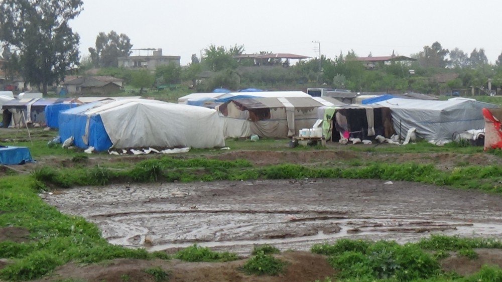 Mevsimlik İşçiler Suriyelilere Kucak Açtı