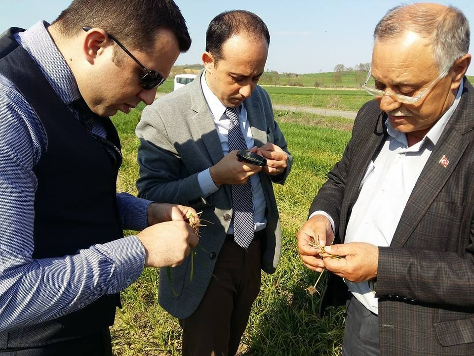 Tarım Müdürlüğü Ekiplerinin Hububat Kontrolleri Başladı