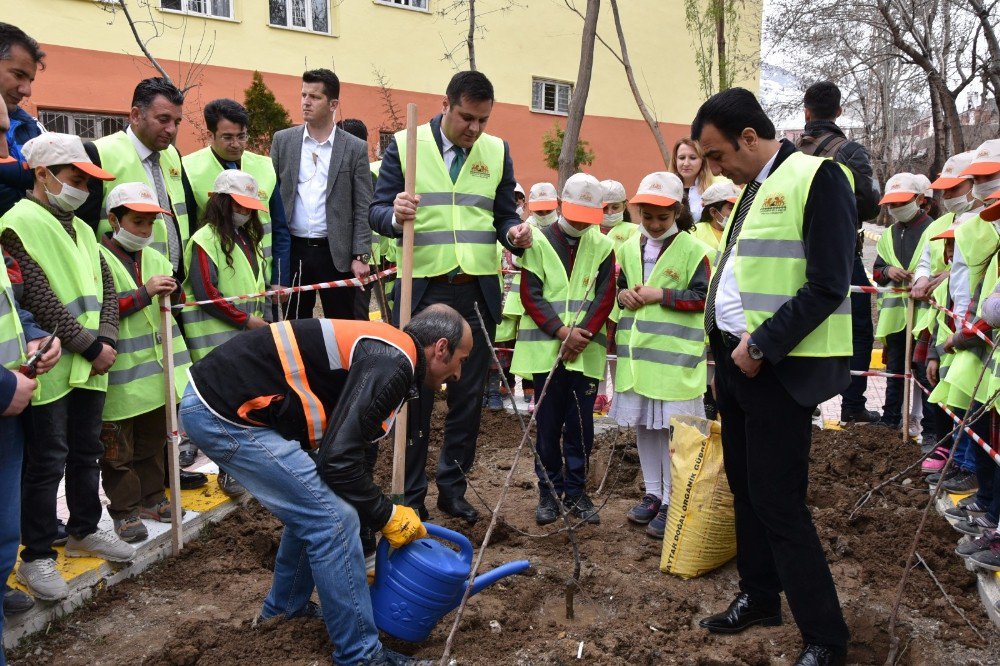 İpekyolu Belediyesinden Fidan Dikimi