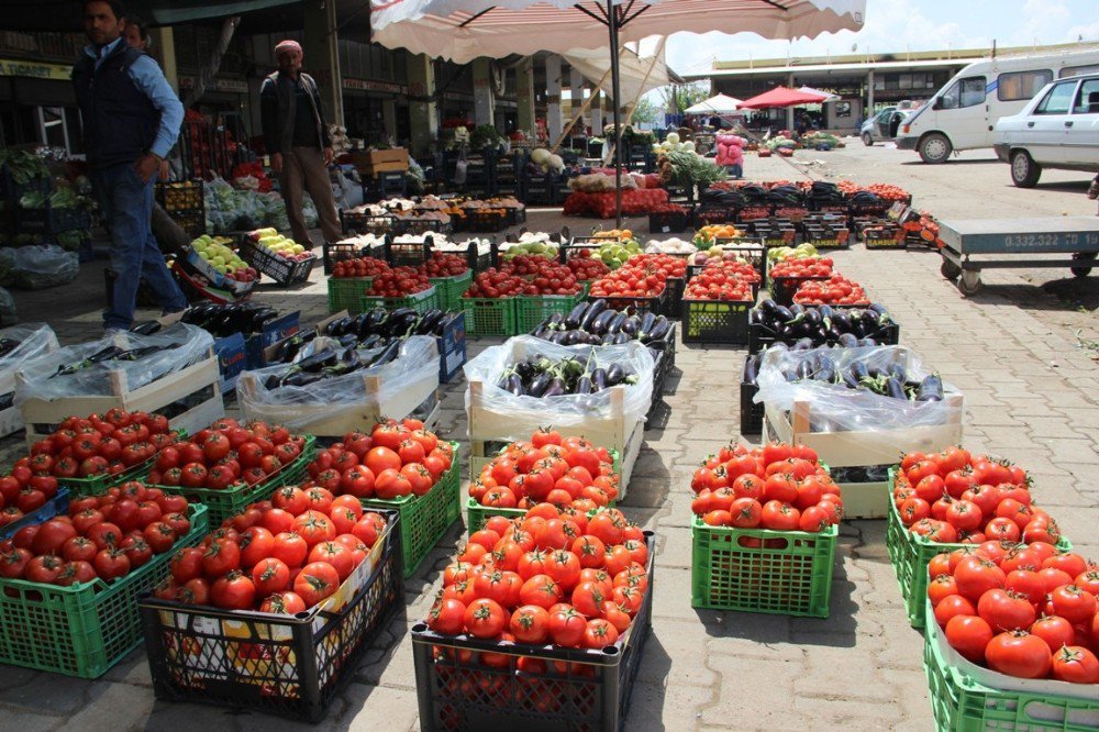 Şanlıurfa’da Yeşil Biberde Rekor Düşüş