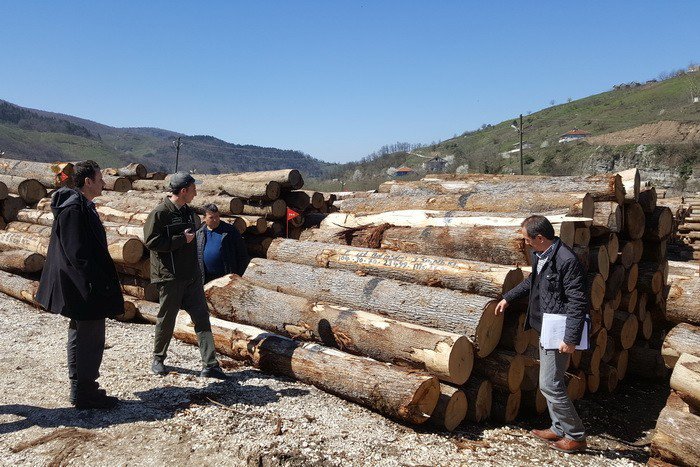 Yığılca’da Orman Ürünleri Depoları Denetlendi