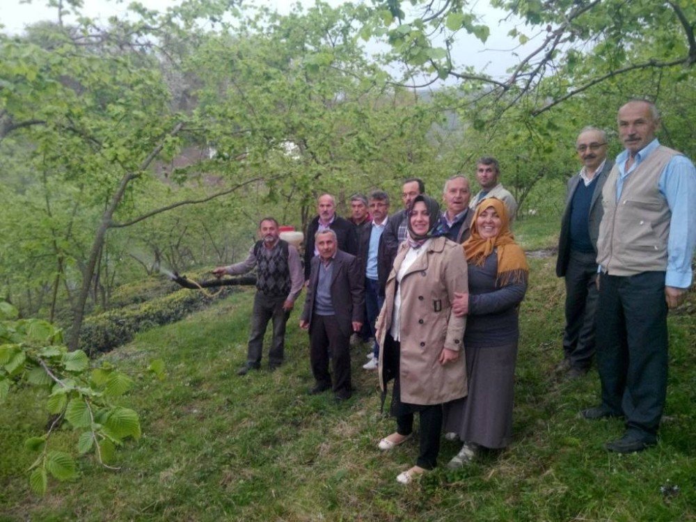 Kadın Çiftçilere Fındıkta Küllenme Hatalığı Dersi Verildi