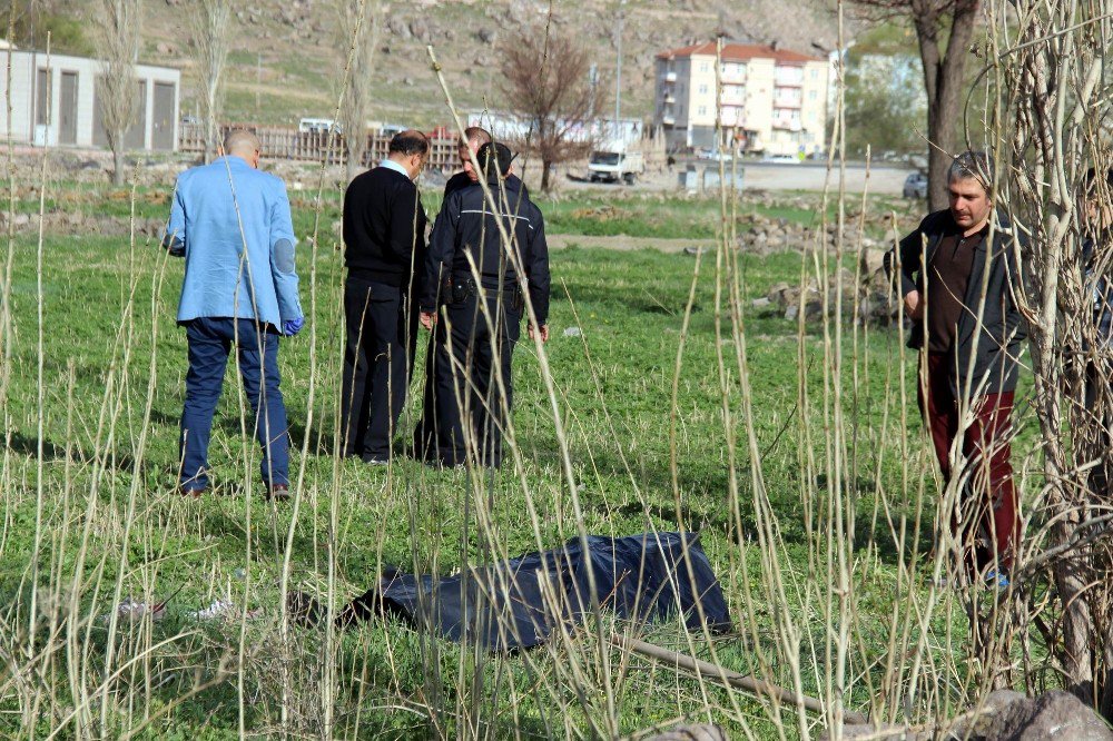 Çalıştığı Tarlada Hayatını Kaybetti