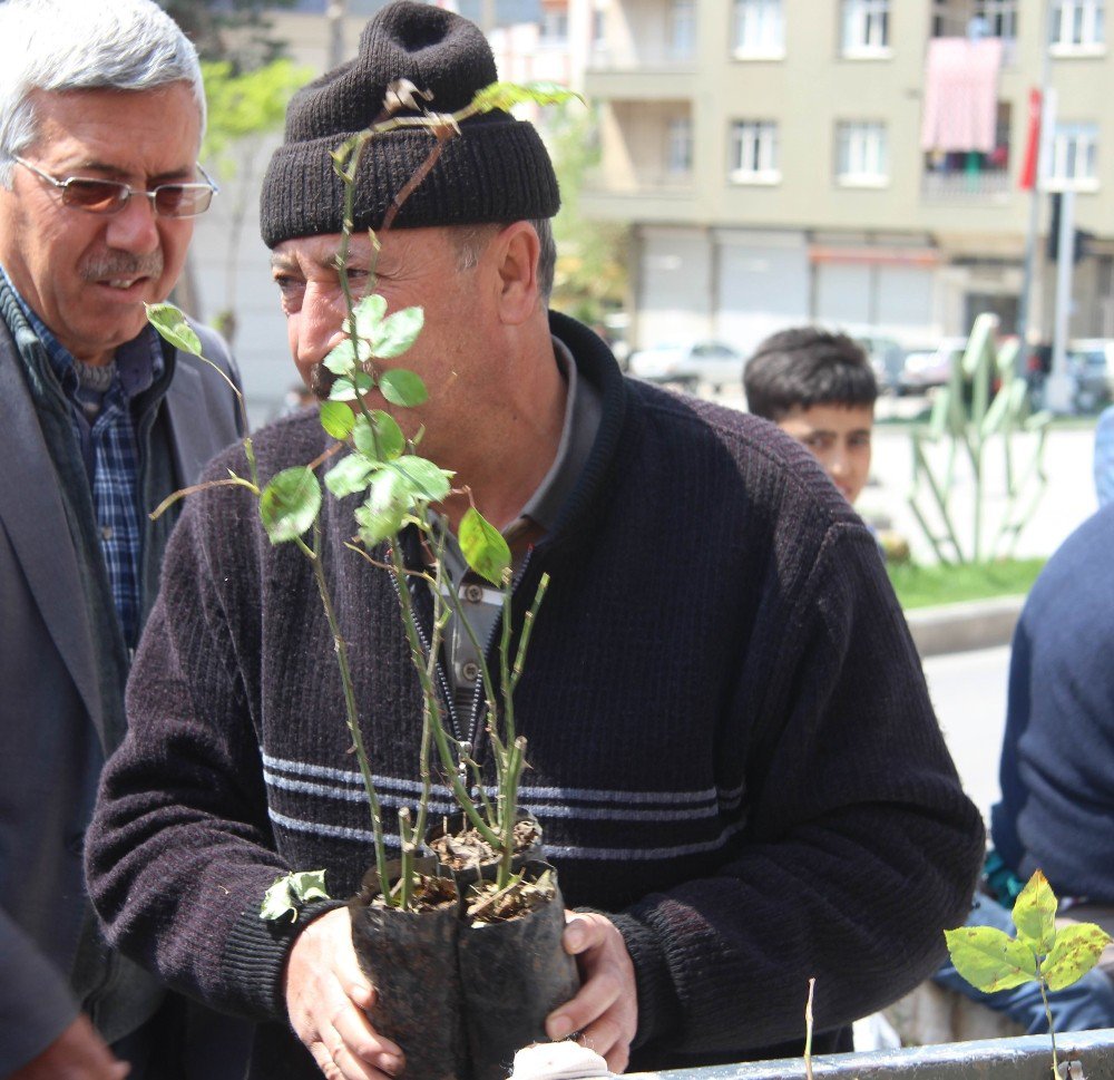 Orman İşletme Müdürlüğü Gül Fidanı Dağıttı