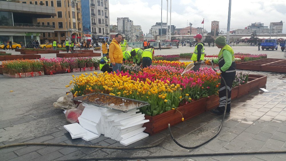 Taksim Meydanı Lalelerle Süslendi