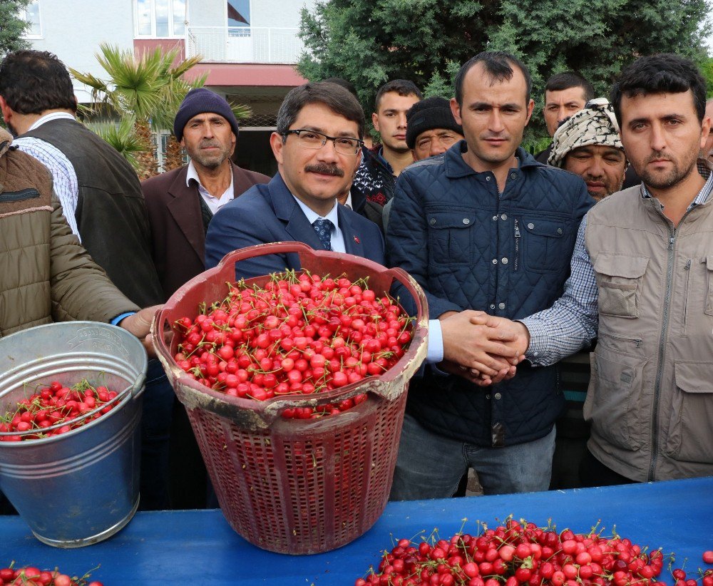 Sezonun İlk Kirazı Pazara Çıktı