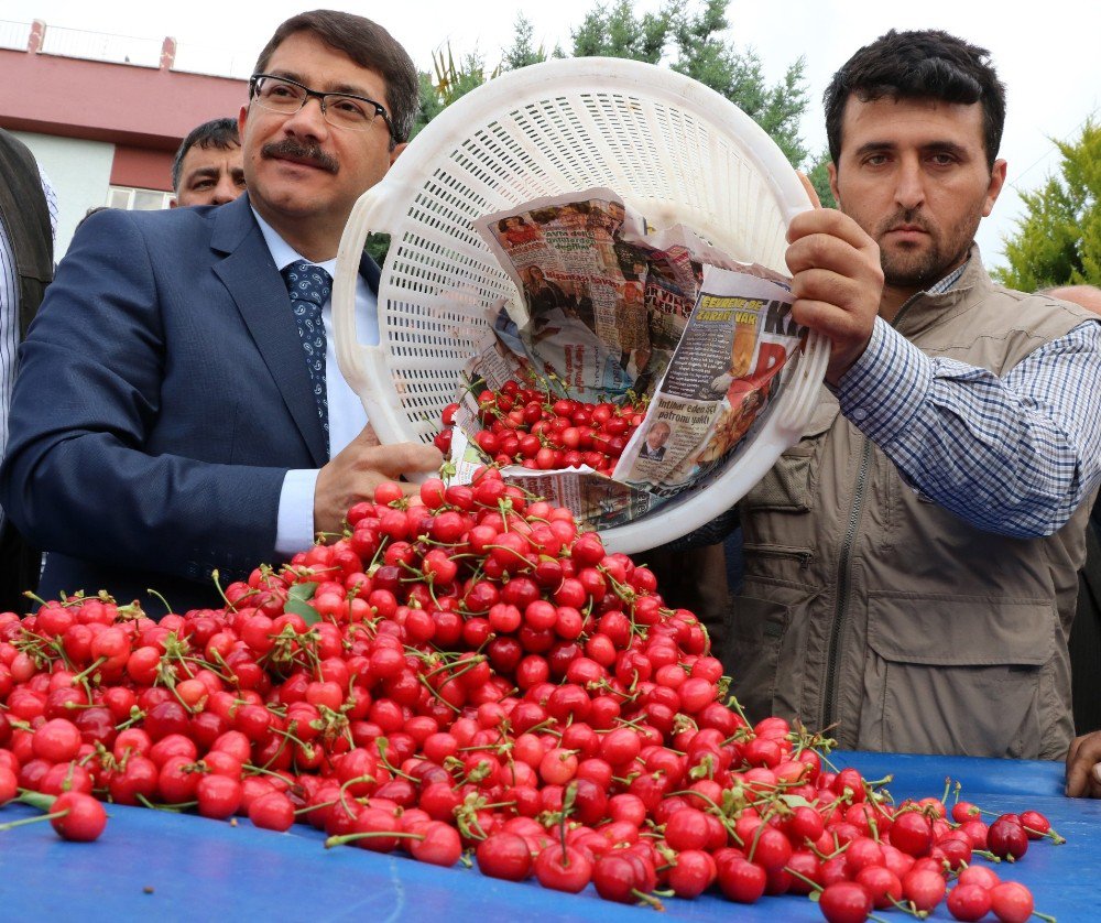 Sezonun İlk Kirazı Pazara Çıktı