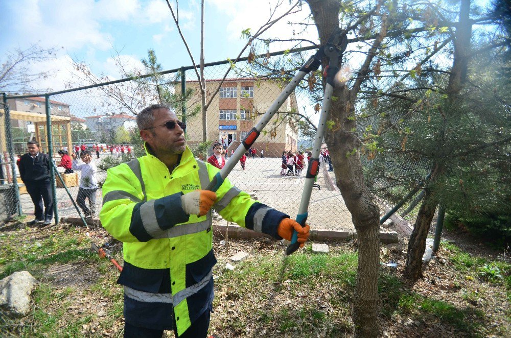 Pursaklar’ın Parklarına Bahar Bakımı