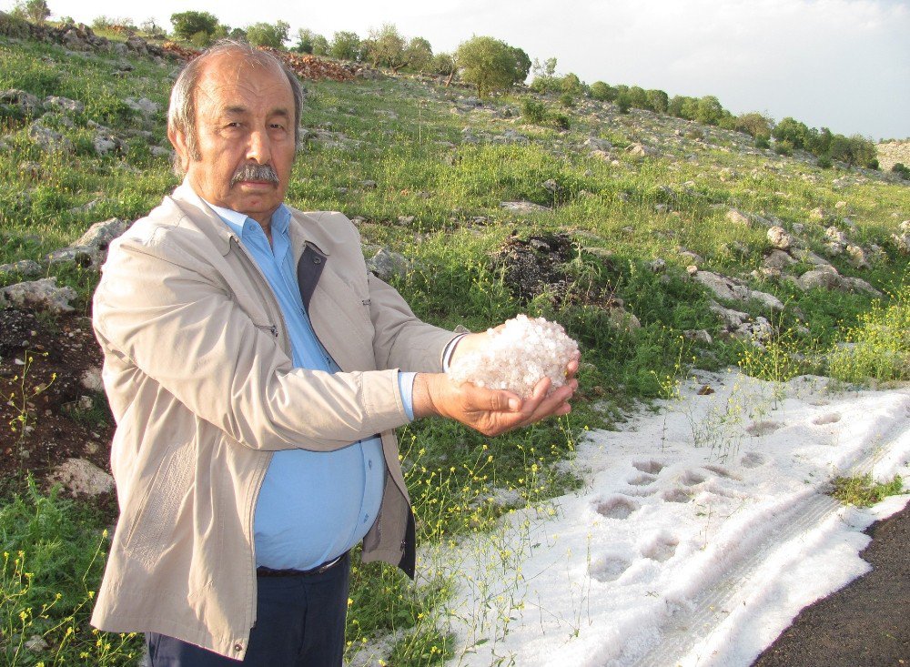 Dolu, Fıstık Bahçesi Ve Hububat Alanlarını Vurdu