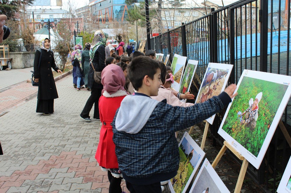 Bingöl’de ’Tarım Ve İnsan’ Konulu Fotoğraf Sergisi