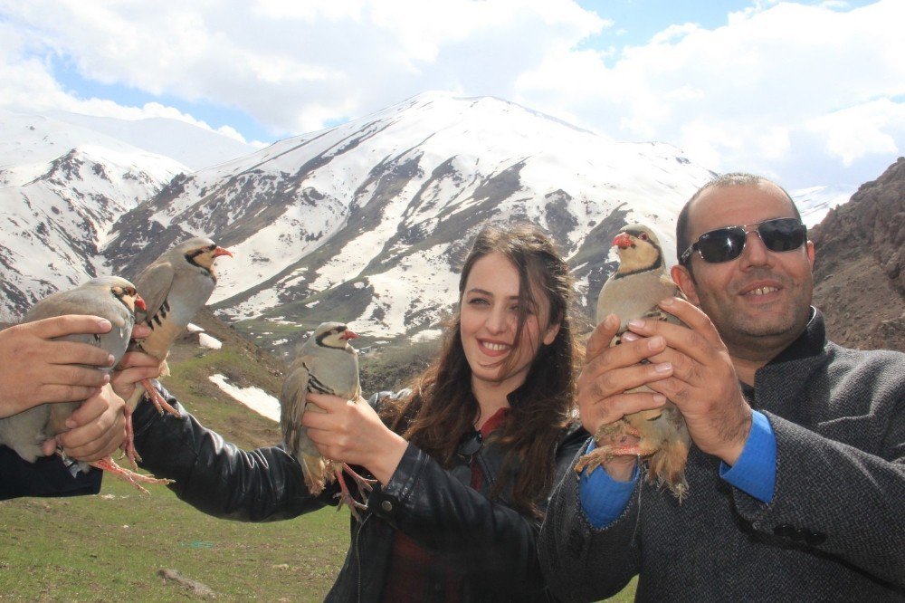 Hakkari’de Doğaya Keklik Bırakıldı