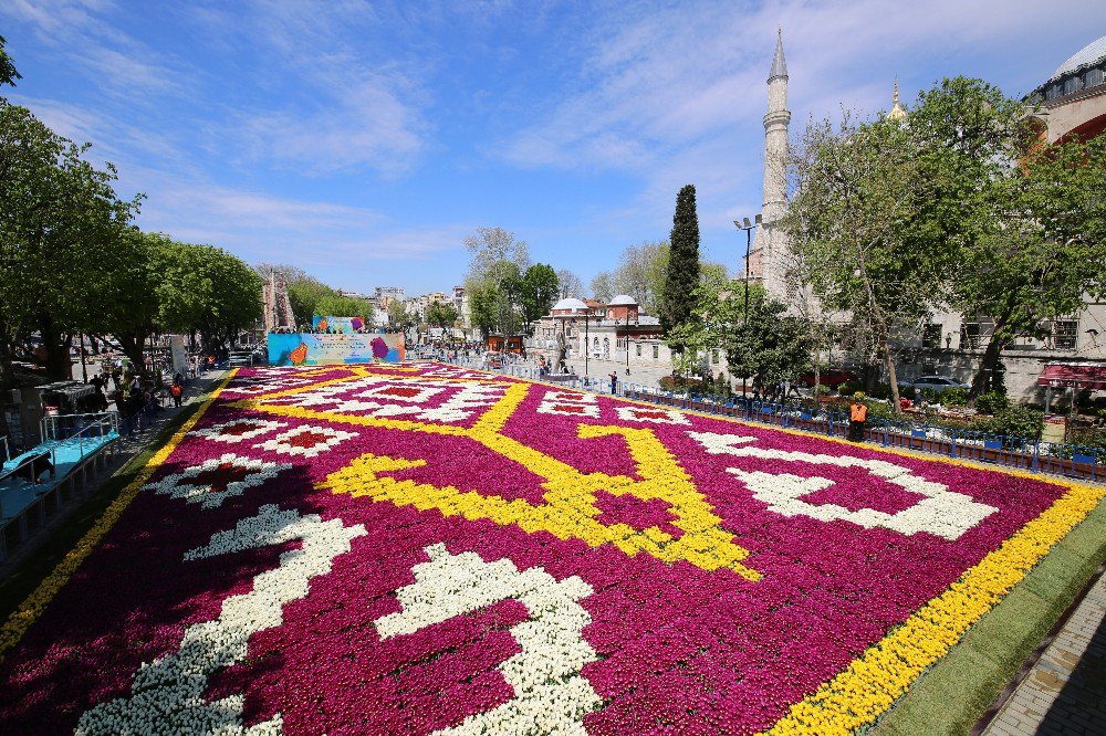 Bin 453 Metrekarelik Canlı Lale Halısı Sultanahmet Meydanı’nda