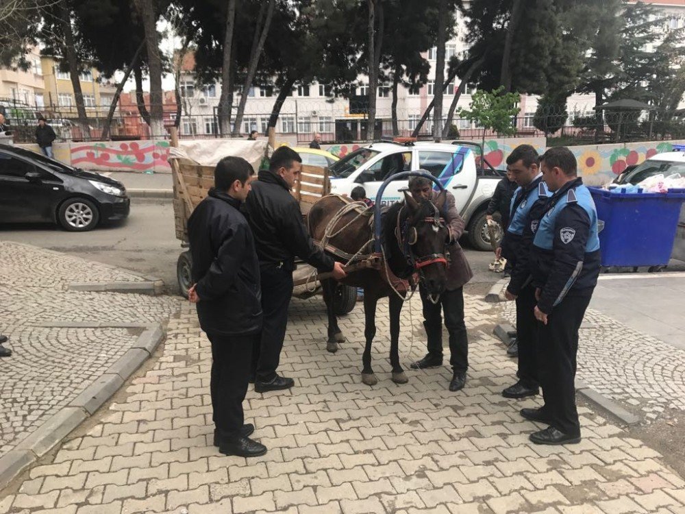 Trafiği Tehlikeye Atan At Arabaları Toplandı