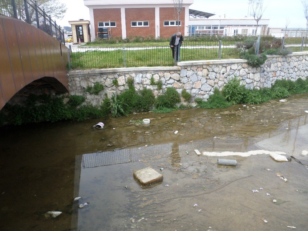 Güzelyalı’da Dere Kirliliği